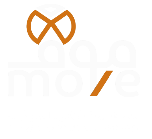 Move Company Logo